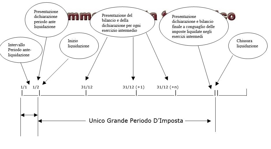 liquidazione di società di capitali