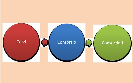 Relazioni intersoggettive nei consorzi con mandato senza rappresentanza