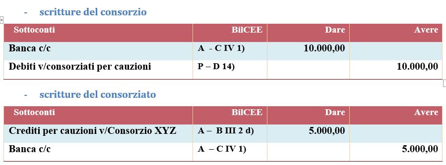 scritture di costituzione di un consorzio