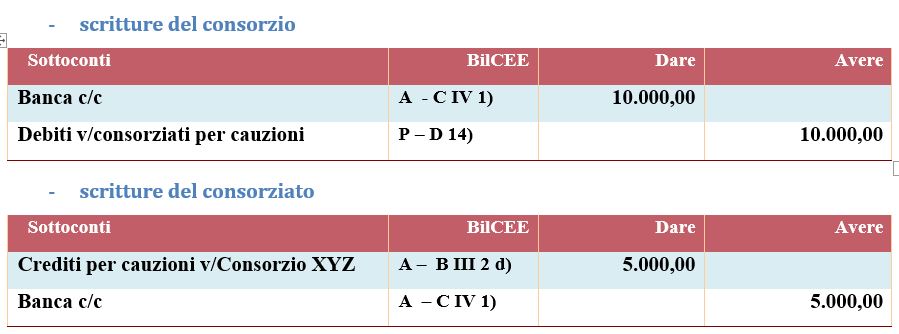 scritture di costituzione di un consorzio