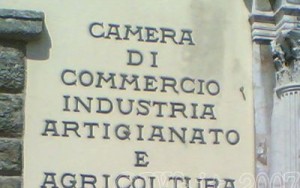 diritto annuale società in liquidazione