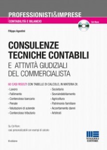 consulenze tecniche contabili