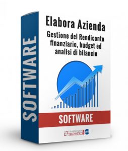 Elabora azienda software gestione rendiconto finanziario budget e bilancio 