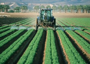 Agricoltura: denuncia/comunicazione di infortunio online dal 1° ottobre
