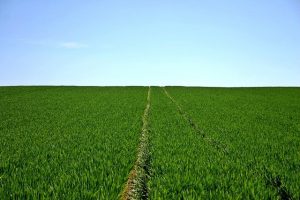 società agricola di comodo