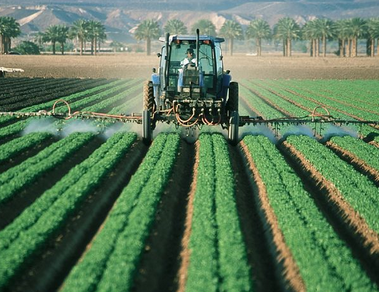 agricoltura esonero contributivo