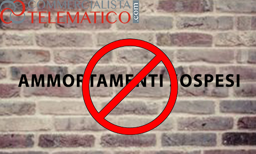 ammortamenti 2020