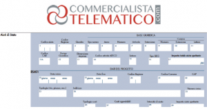 professionista forfettario quadro rs rigo rs401