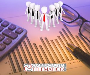 funzionamento società responsabilità limitata 