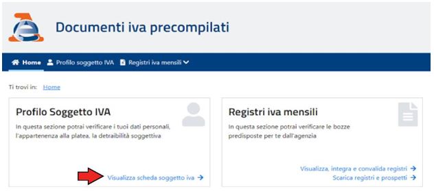 Sezione Profilo Soggetto IVA