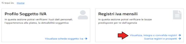 sezione Registri iva mensili