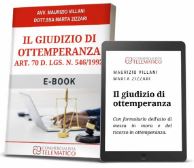 giudizio di ottemperanza