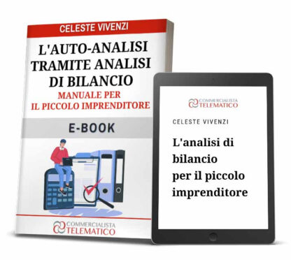 ebook Manuale per il piccolo imprenditore per l'auto-analisi tramite analisi di bilancio