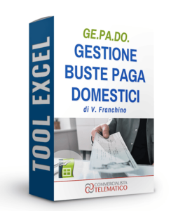 tool gestione prospetti paga domestici