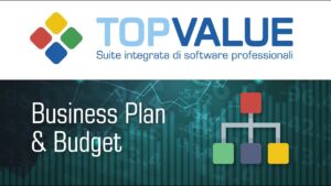 software business plan e budget per commercialisti e aziende
