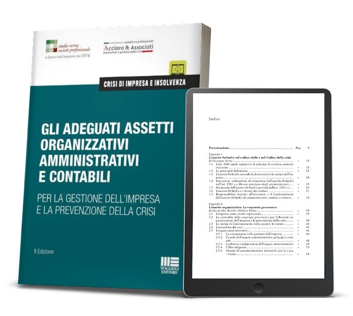 Gli adeguati assetti - eBook