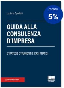 guida consulenza impresa