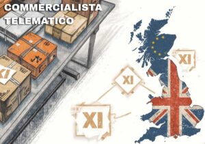 cessioni beni irlanda nord